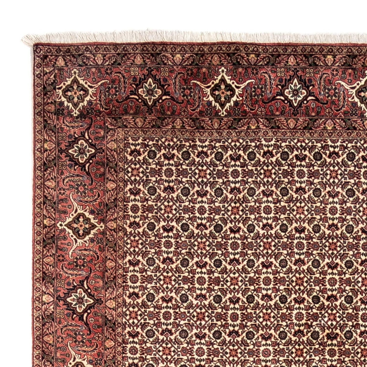 Alfombra persa - Bidjar - 302 x 208 cm - beige