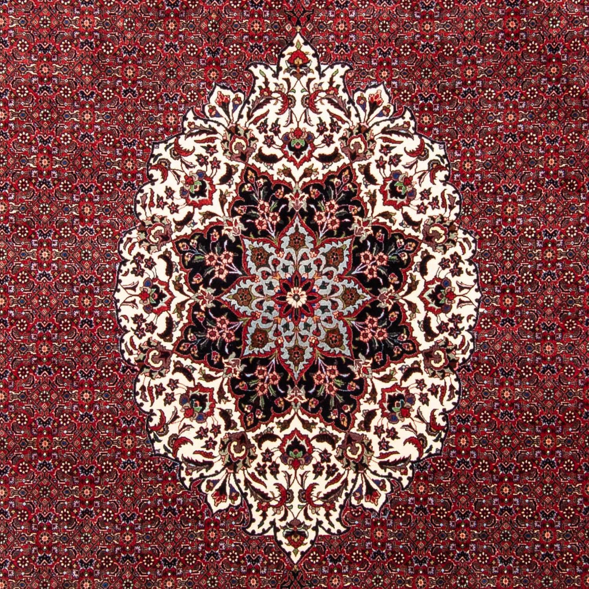Alfombra persa - Bidjar - 343 x 260 cm - rojo oscuro