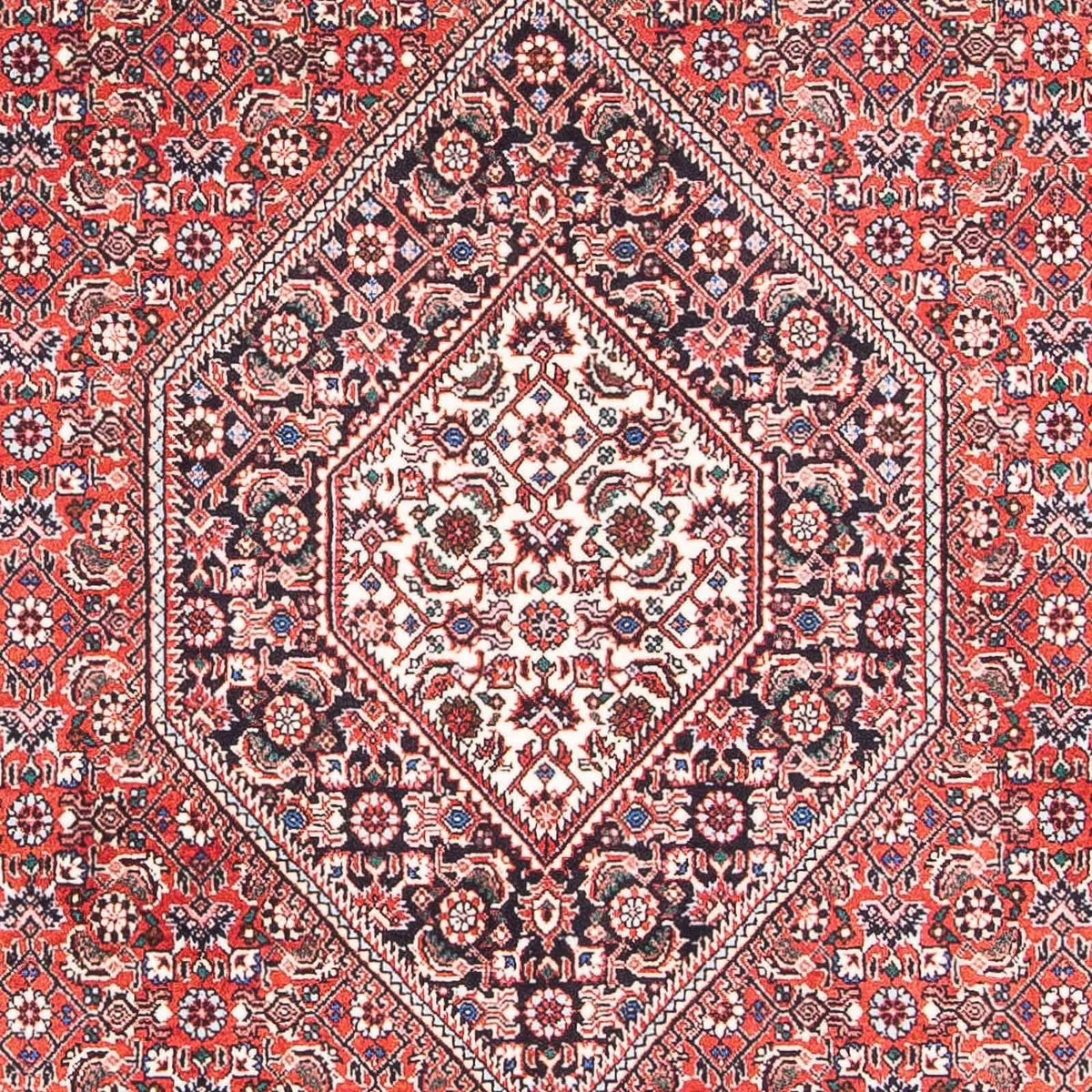 Alfombra persa - Bidjar - 176 x 112 cm - rojo