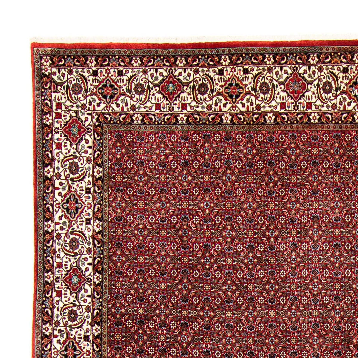 Bidjar Alfombra 299x398cm - Alfombra persa - rojo oscuro