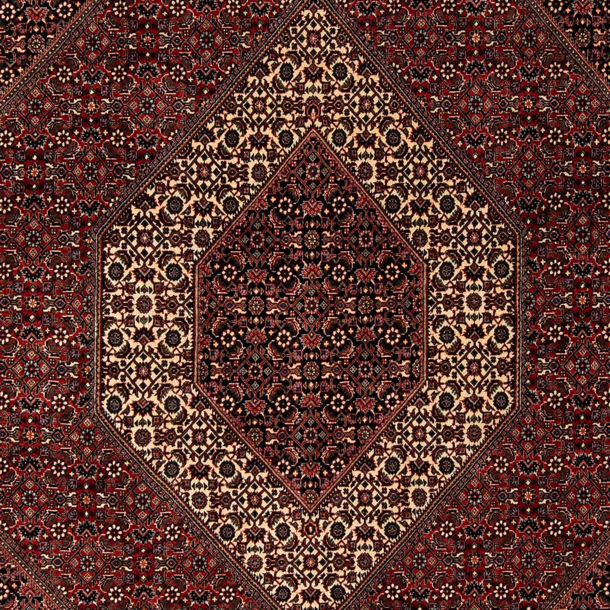 Alfombra persa - Bidjar - 249 x 200 cm - rojo oscuro