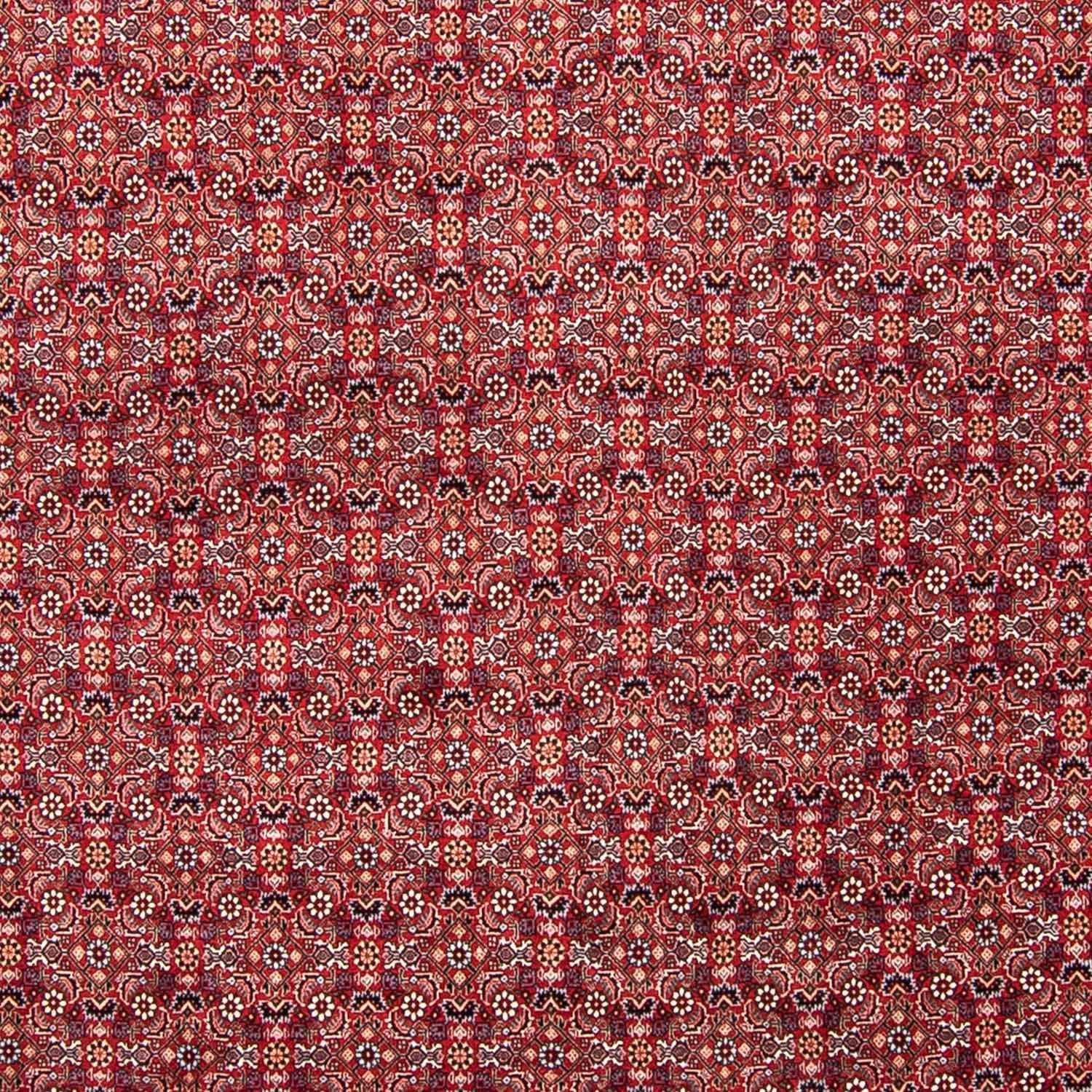 Alfombra persa - Bidjar - 347 x 248 cm - rojo