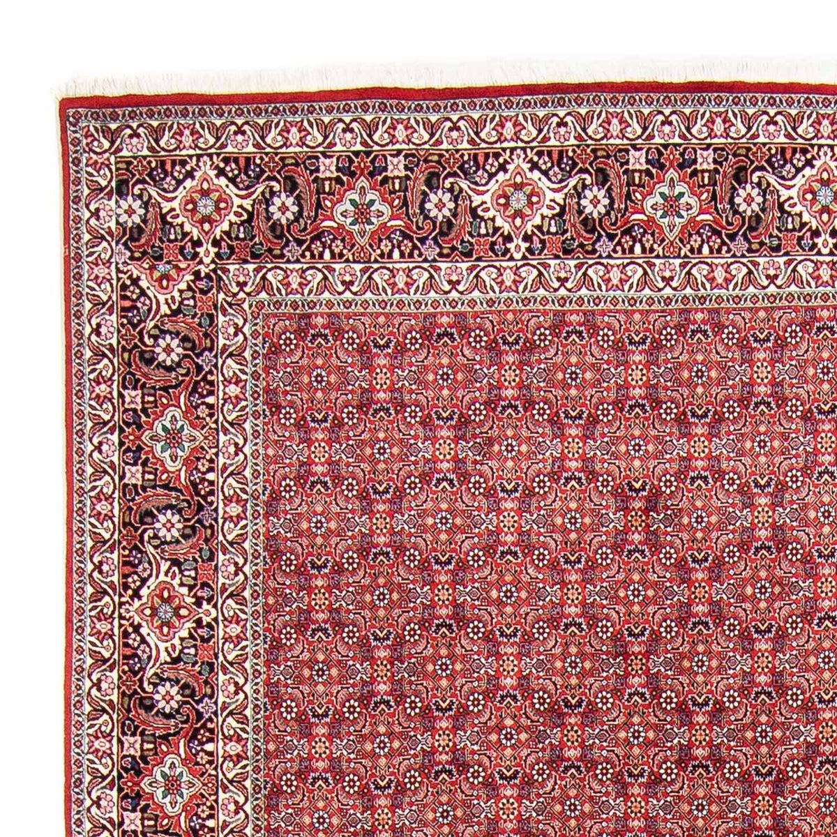 Alfombra persa - Bidjar - 347 x 248 cm - rojo