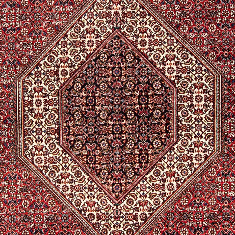 Alfombra persa - Bidjar - 254 x 171 cm - rojo oscuro