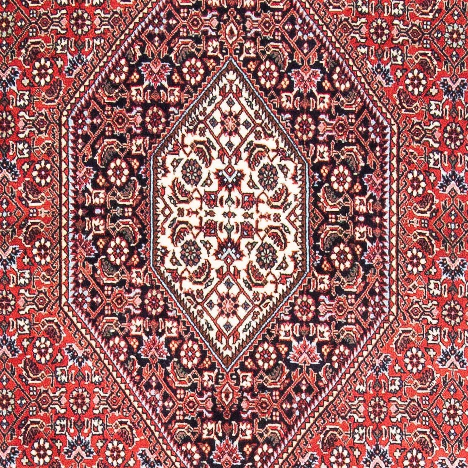 Alfombra persa - Bidjar - 169 x 111 cm - rojo