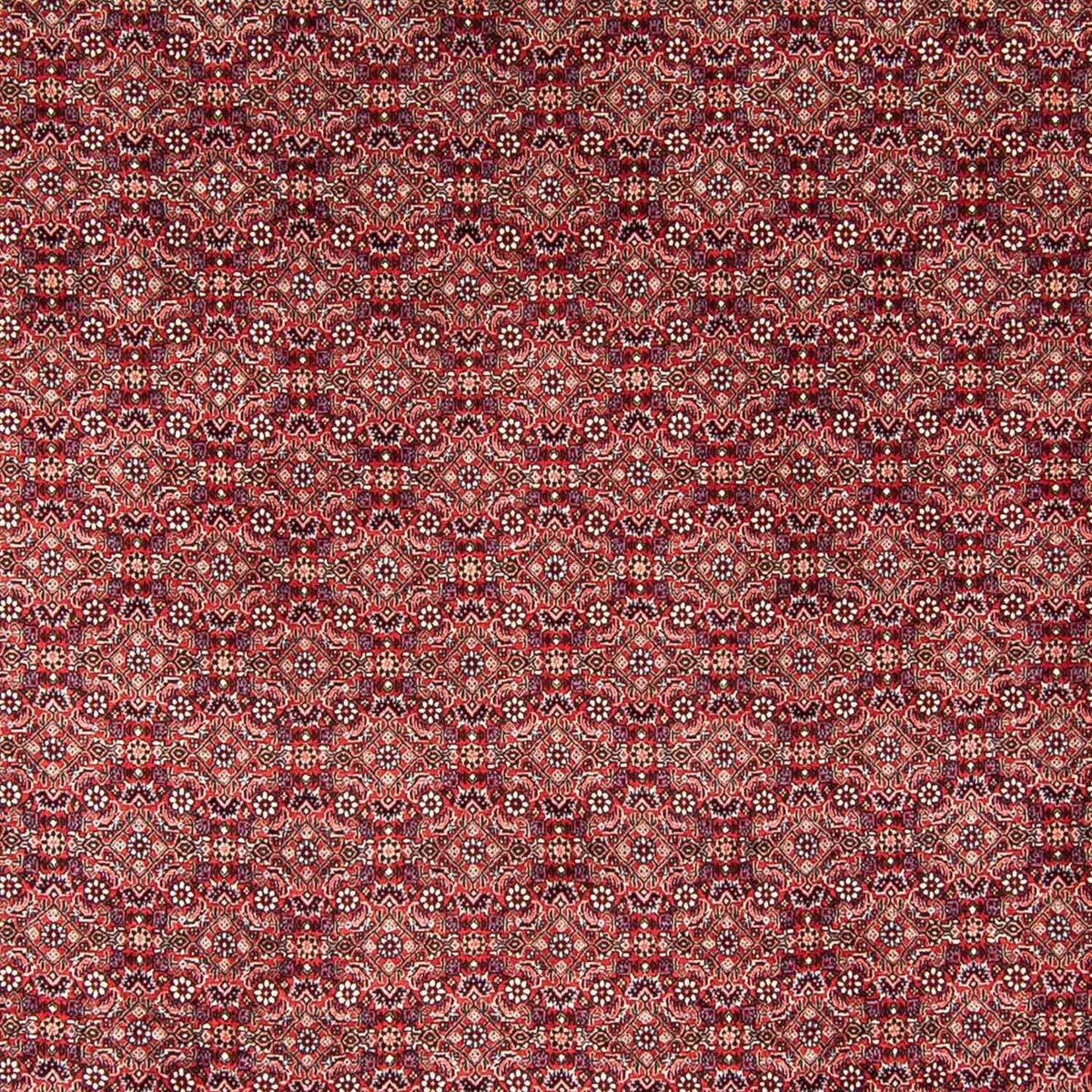 Alfombra persa - Bidjar - 350 x 246 cm - rojo