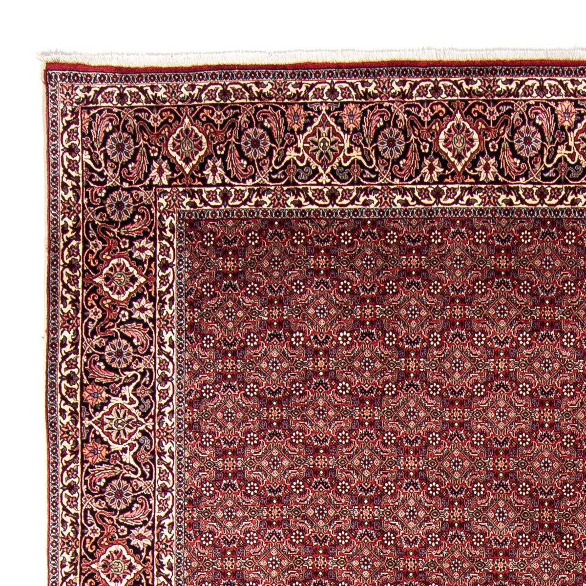 Bidjar Alfombra 246x350cm - Alfombra persa