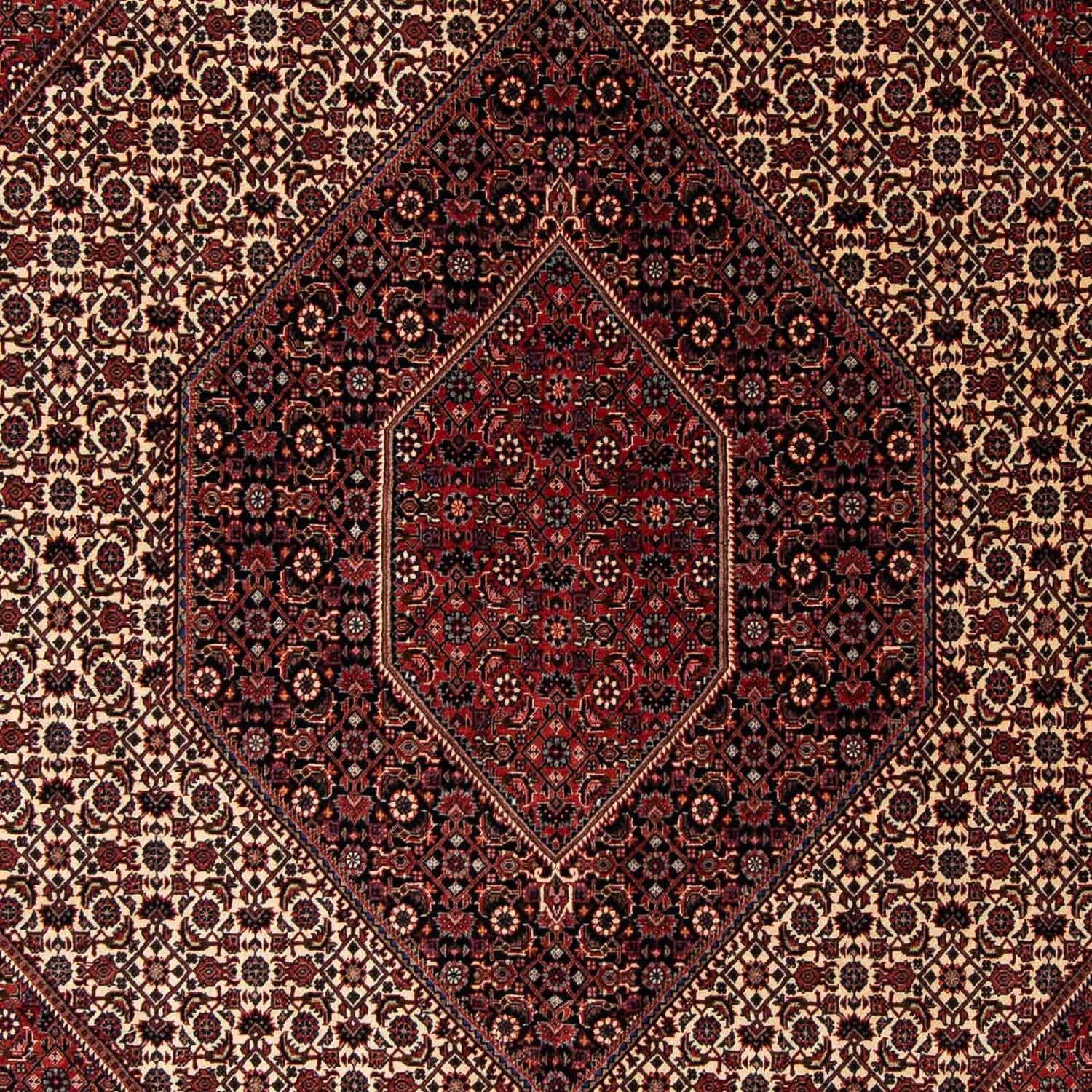 Alfombra persa - Bidjar - 245 x 202 cm - rojo oscuro