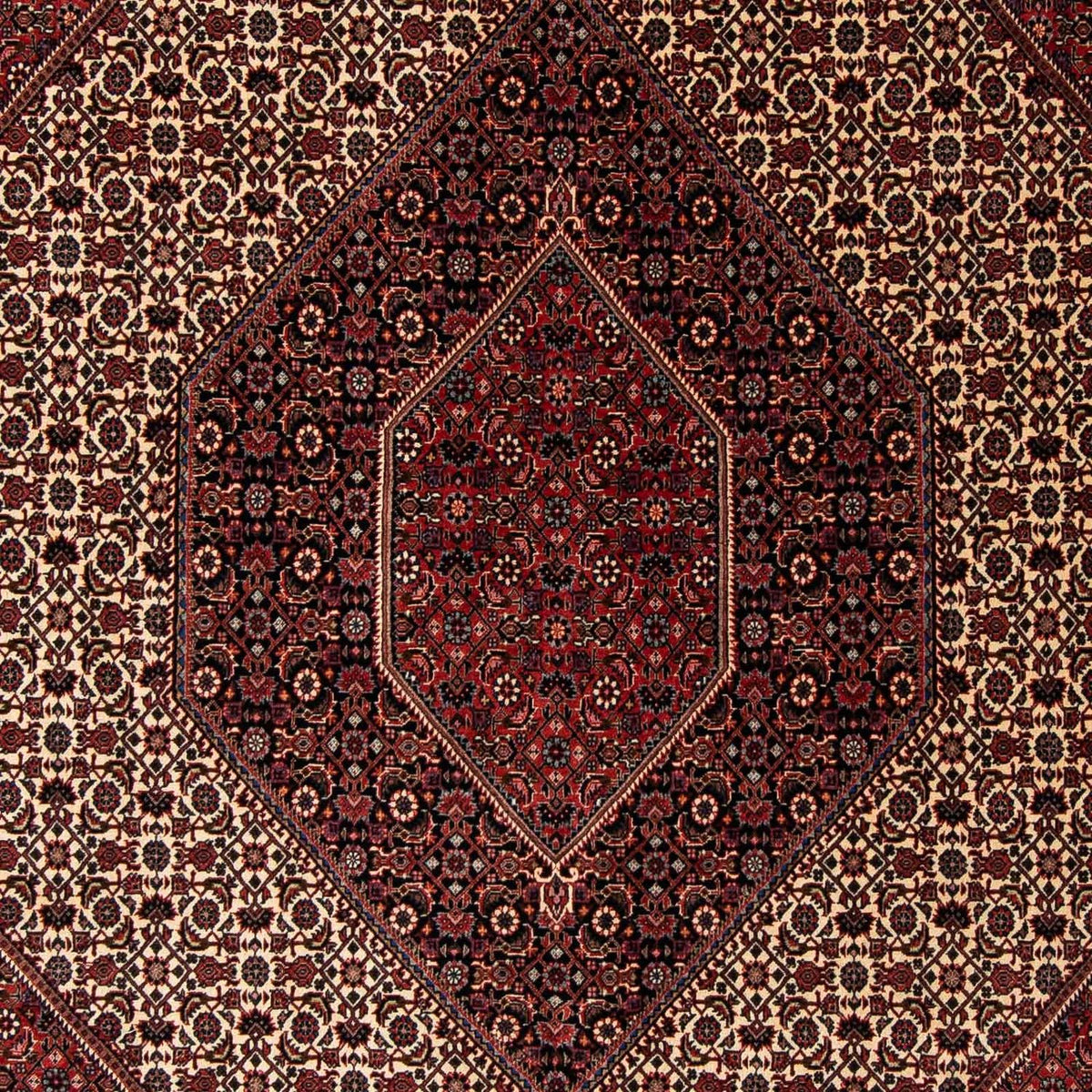 Alfombra persa - Bidjar - 245 x 202 cm - rojo oscuro