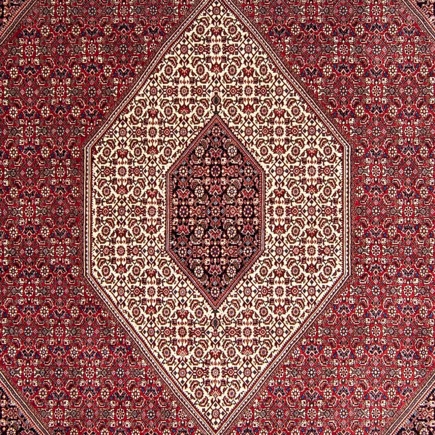 Alfombra persa - Bidjar - 343 x 252 cm - rojo