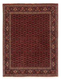 Alfombra persa - Bidjar - 256 x 202 cm - rojo oscuro