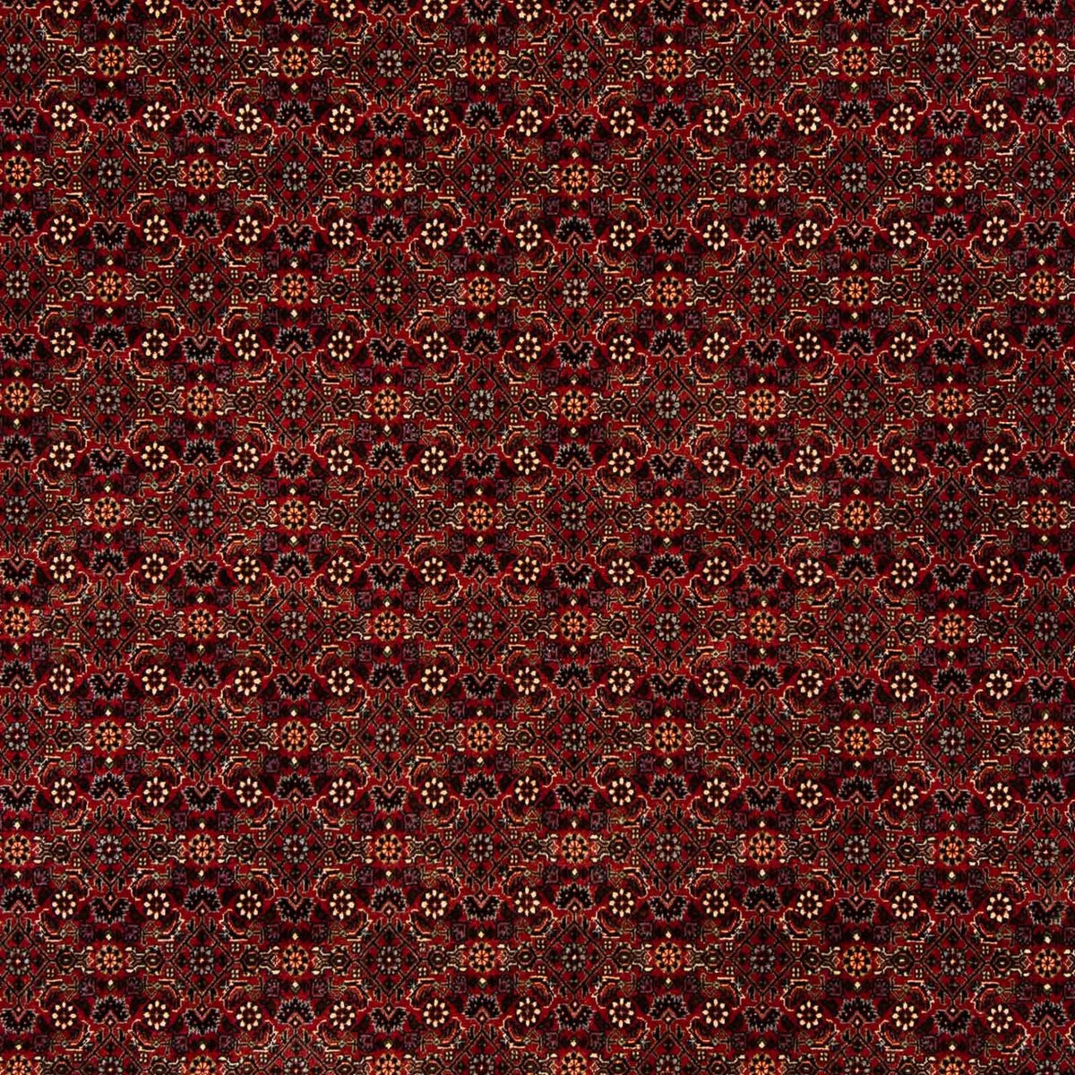 Alfombra persa - Bidjar - 256 x 202 cm - rojo oscuro