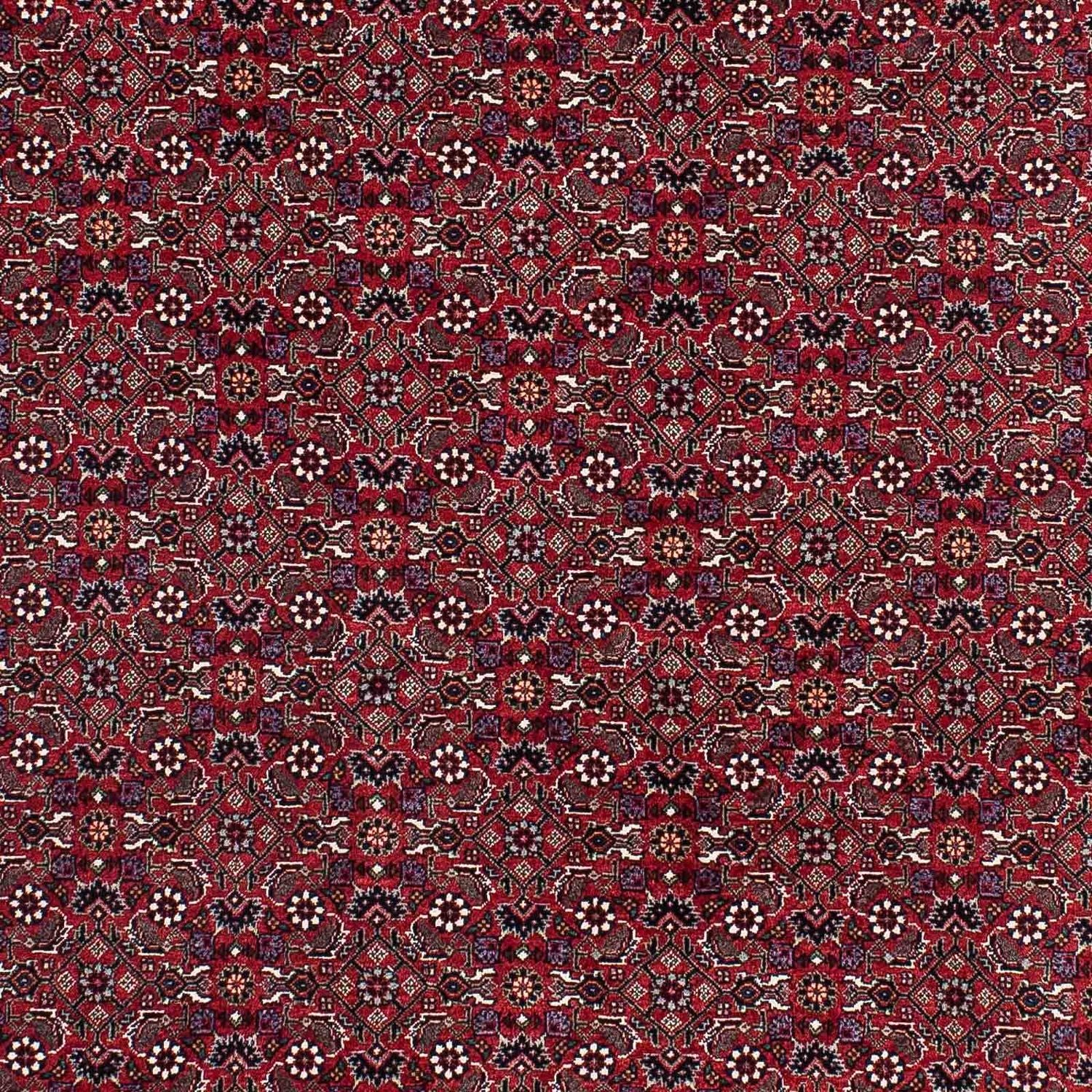 Alfombra persa - Bidjar - 221 x 143 cm - rojo