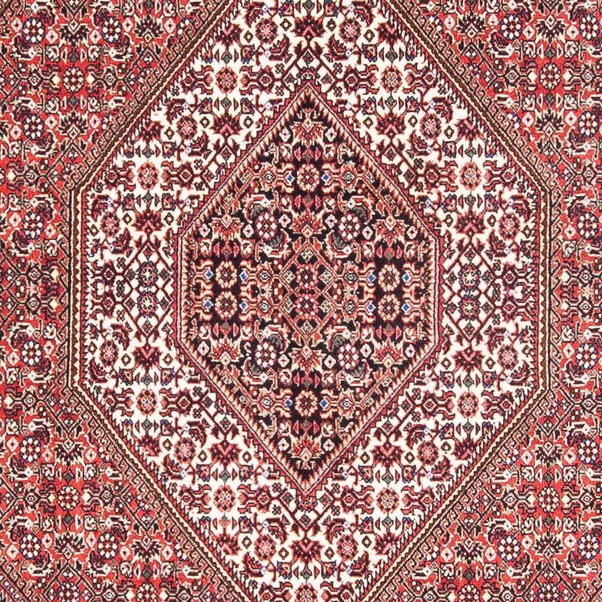 Alfombra persa - Bidjar - 182 x 111 cm - rojo