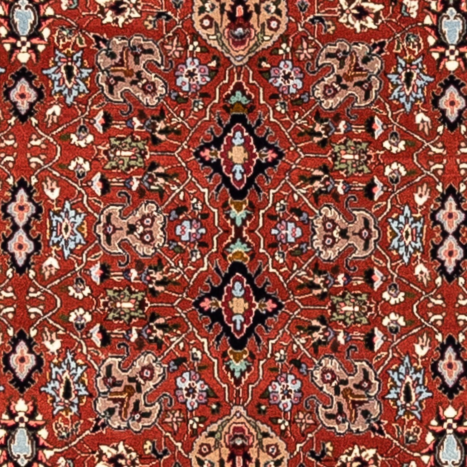 Alfombra persa - Bidjar - 313 x 201 cm - rojo