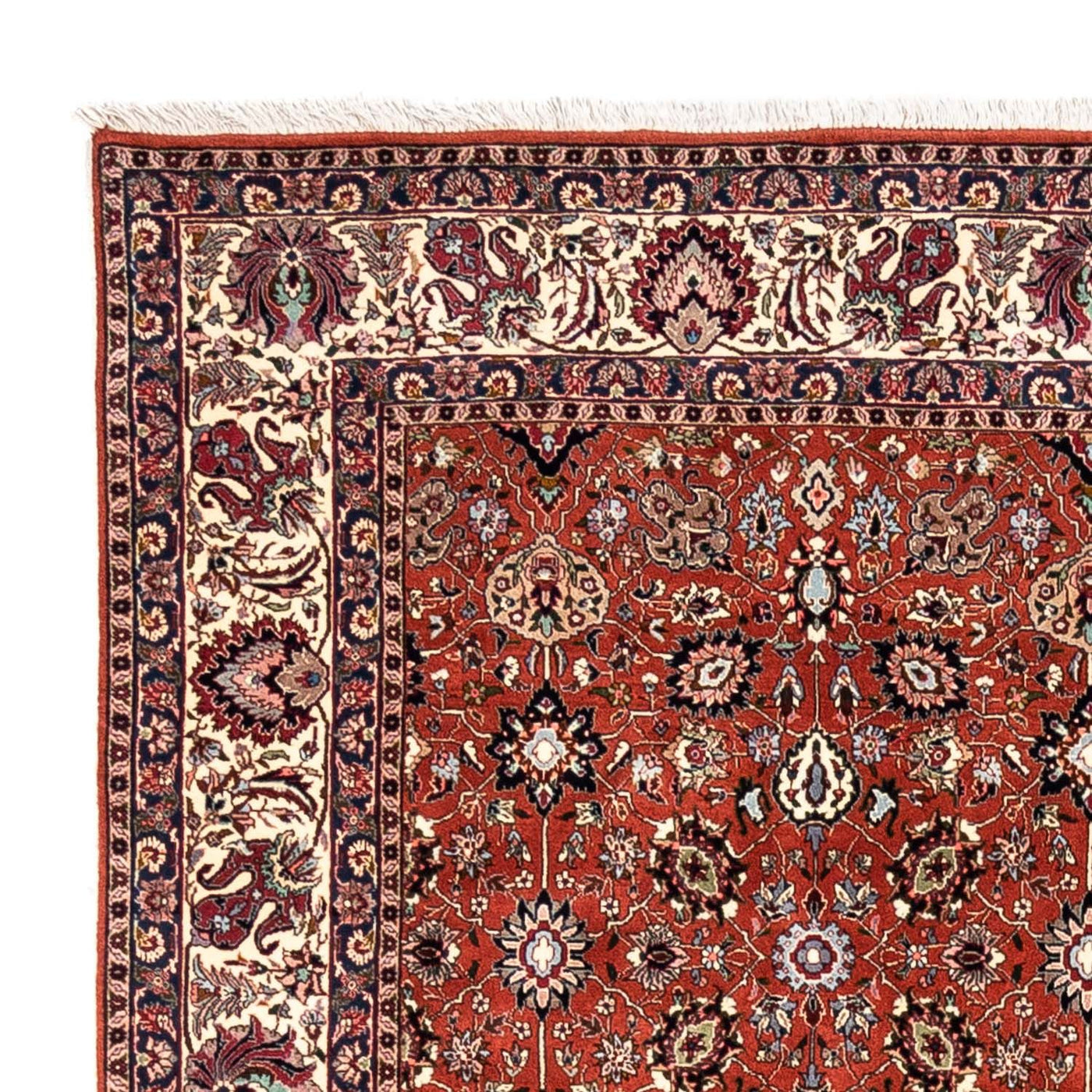 Bidjar - Takab Alfombra 313x201cm - Alfombra persa