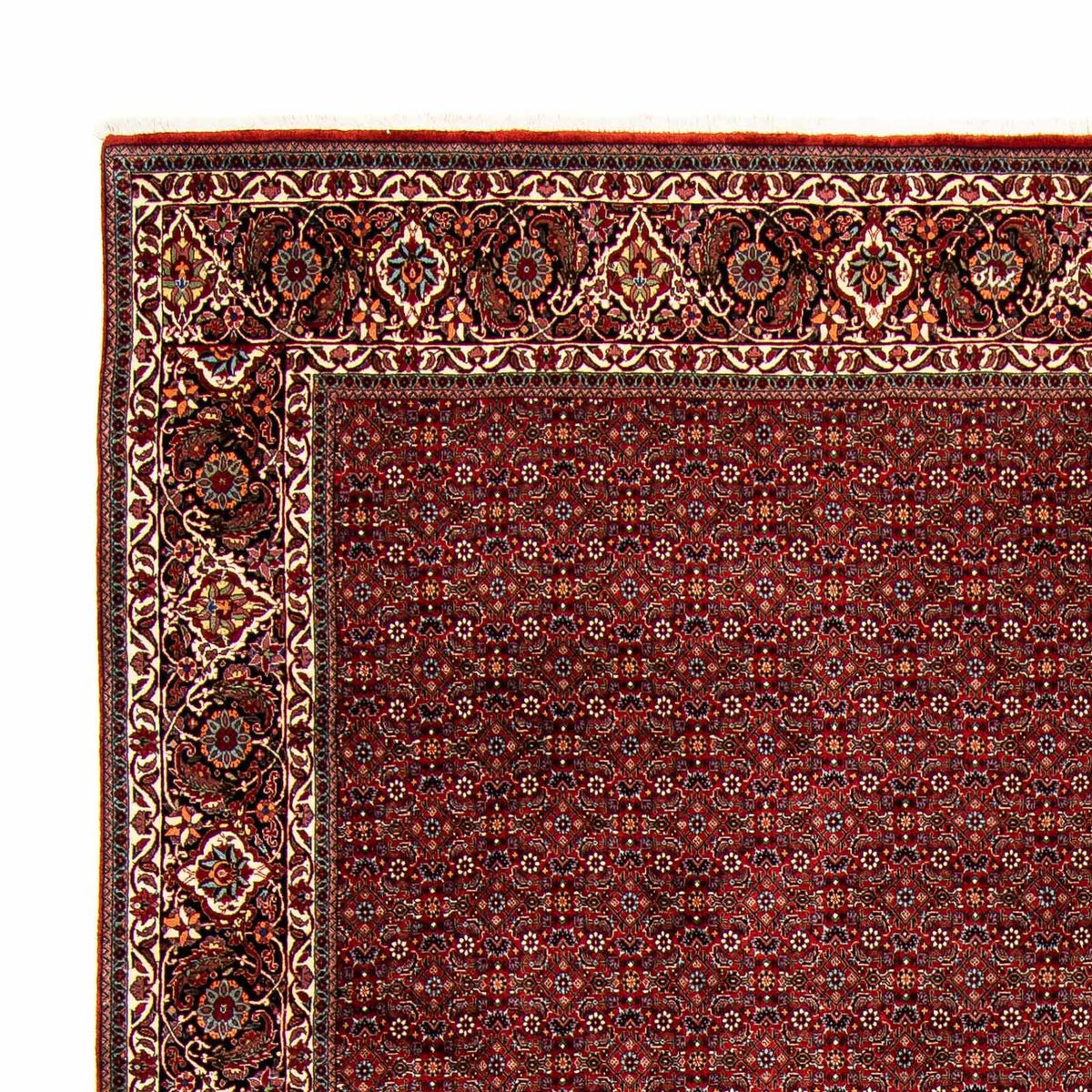 Bidjar Alfombra 299x392cm - Alfombra persa