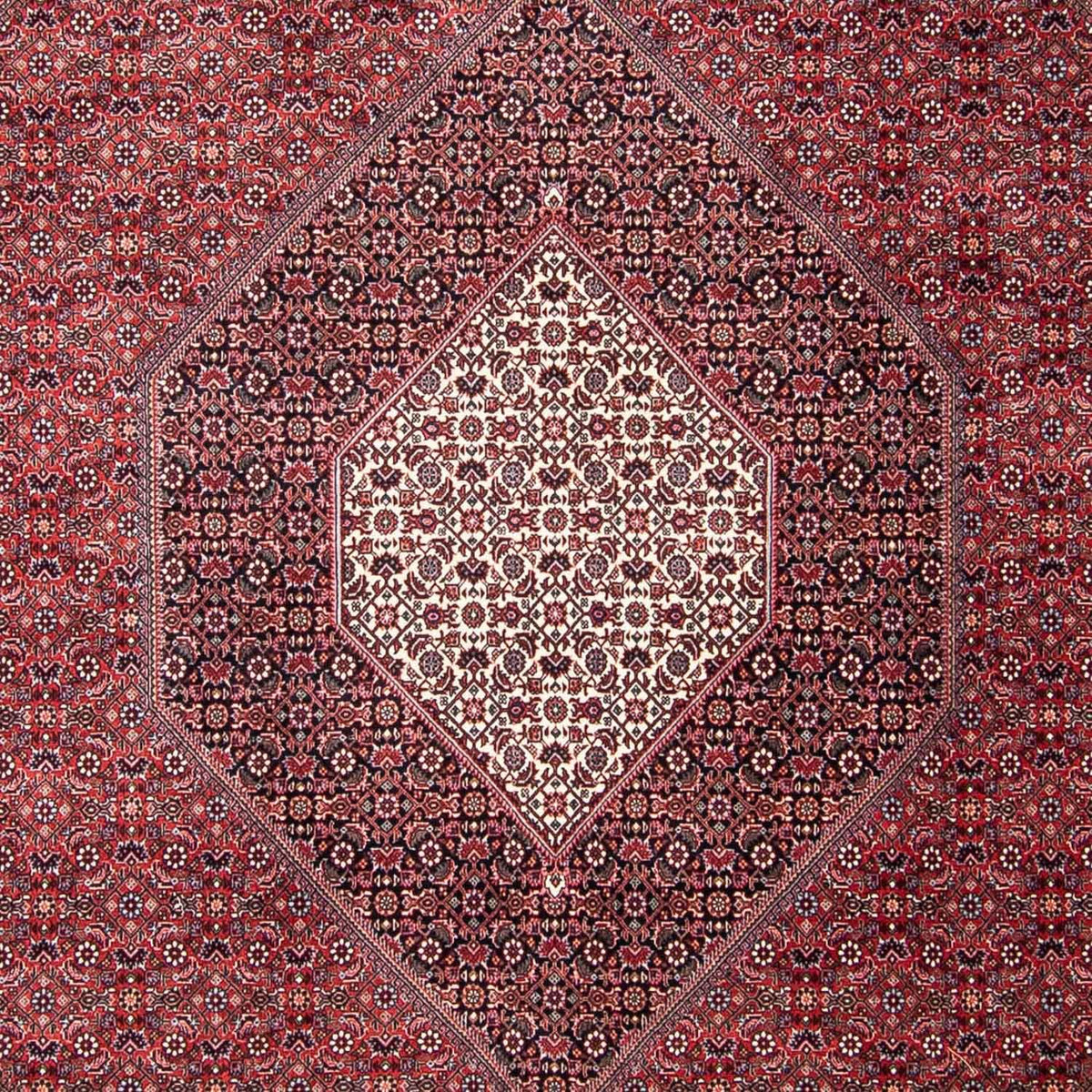 Alfombra persa - Bidjar - 302 x 253 cm - rojo