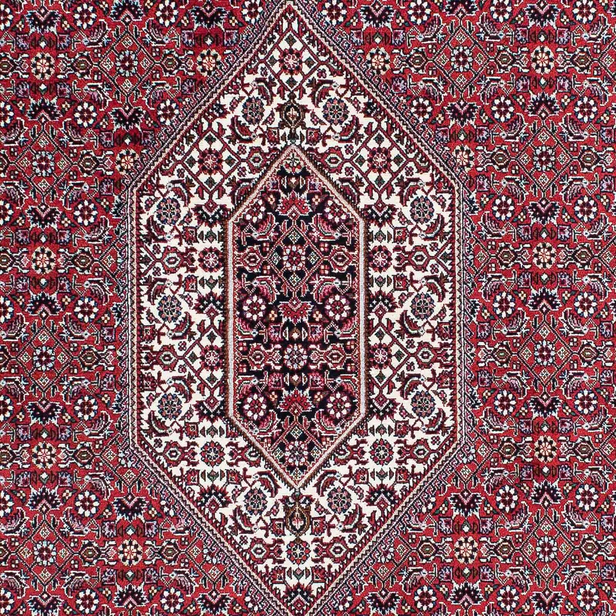 Alfombra persa - Bidjar - 210 x 131 cm - rojo claro