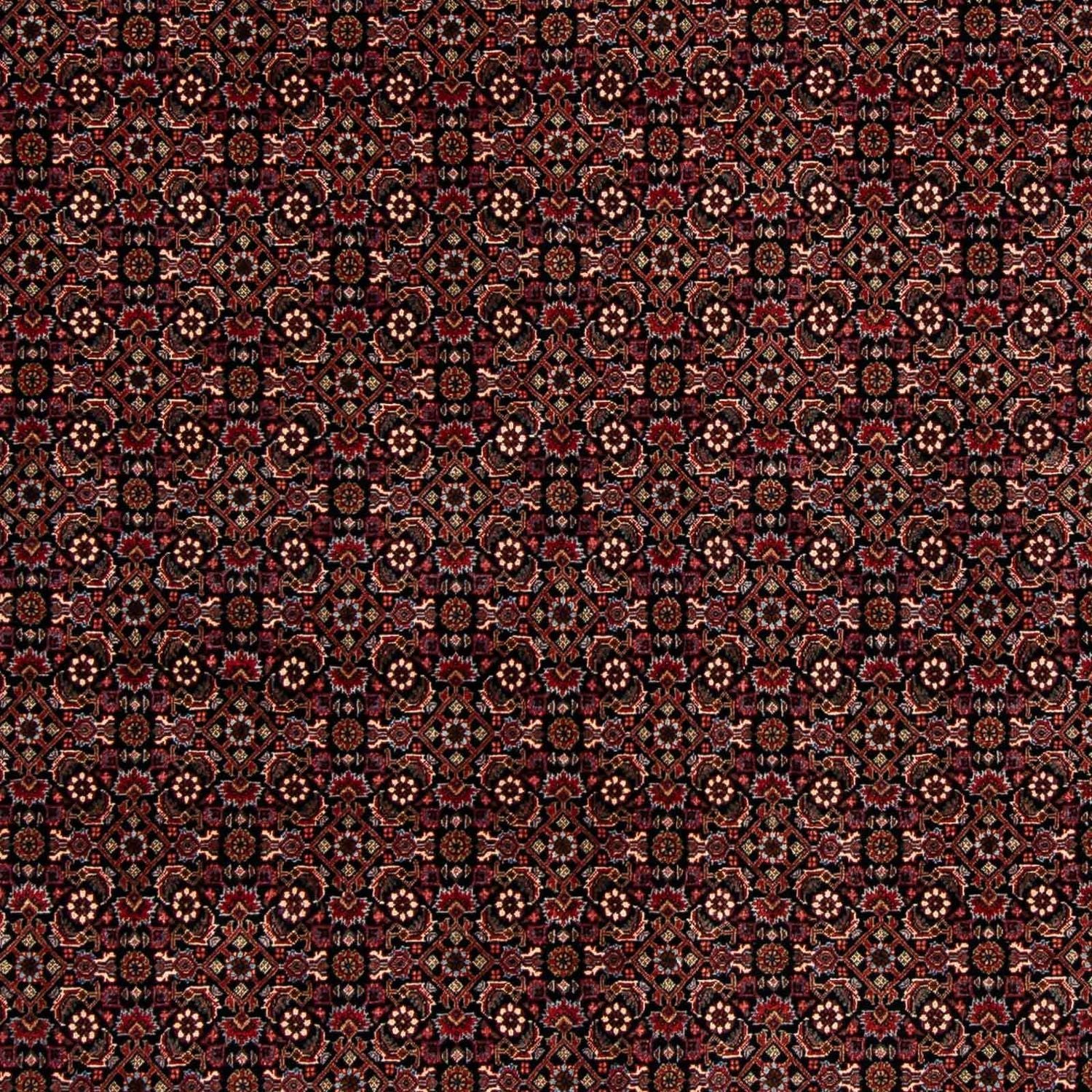 Alfombra persa - Bidjar - 248 x 198 cm - rojo oscuro