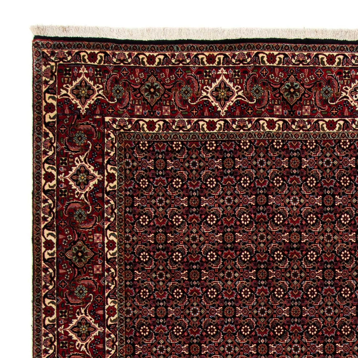 Alfombra persa - Bidjar - 248 x 198 cm - rojo oscuro