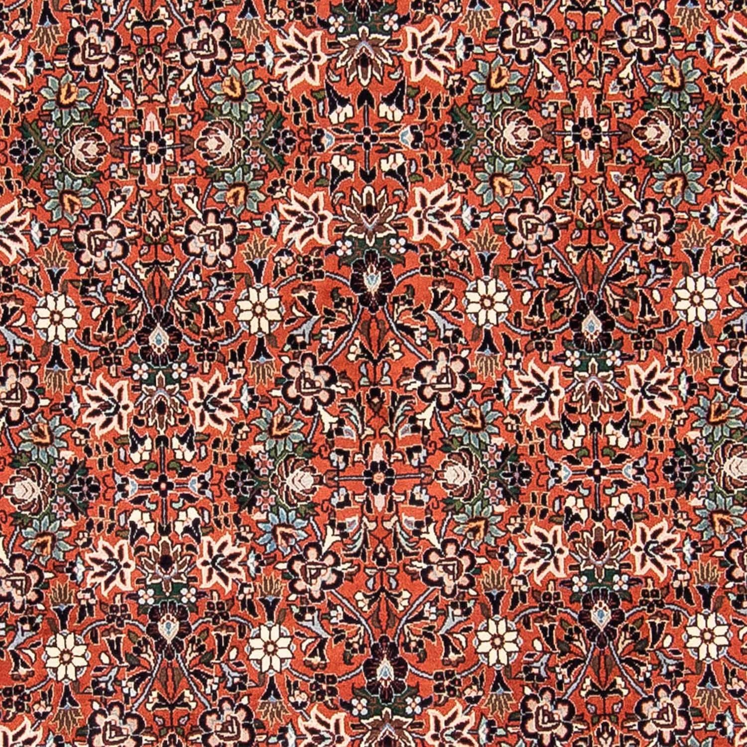 Alfombra persa - Bidjar - 240 x 150 cm - rojo claro