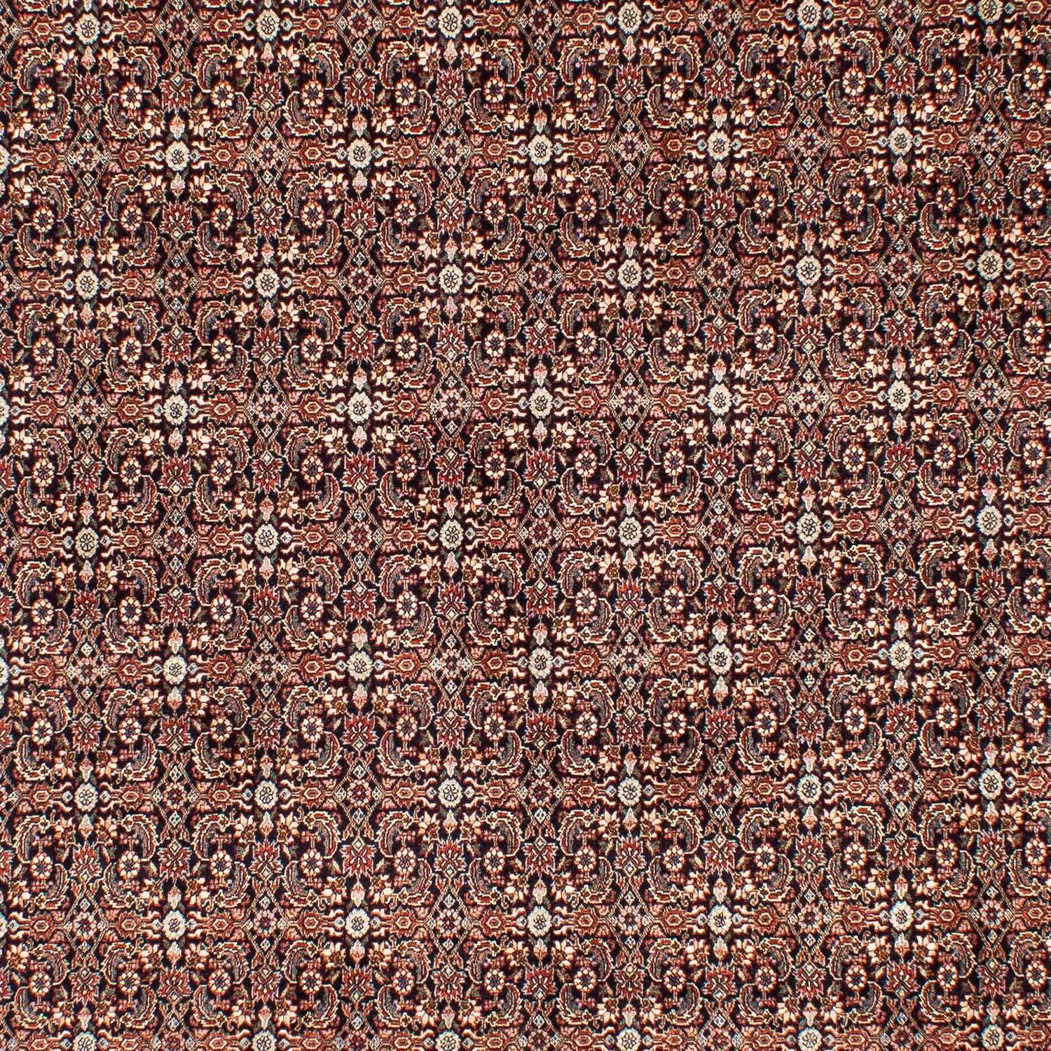 Alfombra persa - Bidjar - 300 x 204 cm - multicolor
