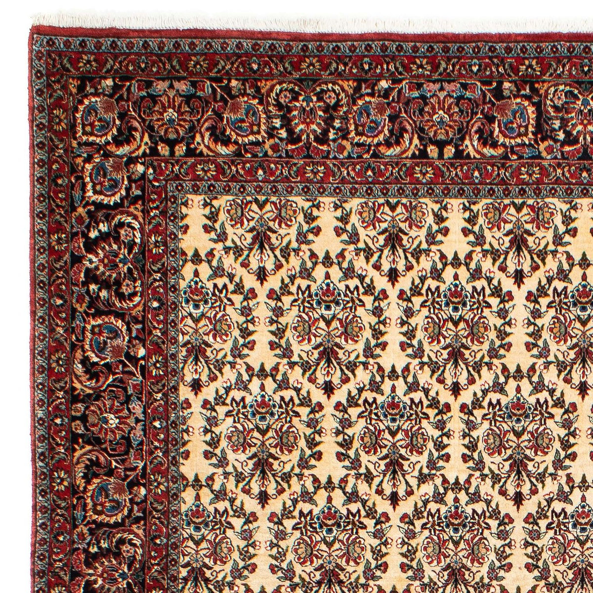 Bidjar Alfombra 208x300cm - Alfombra persa