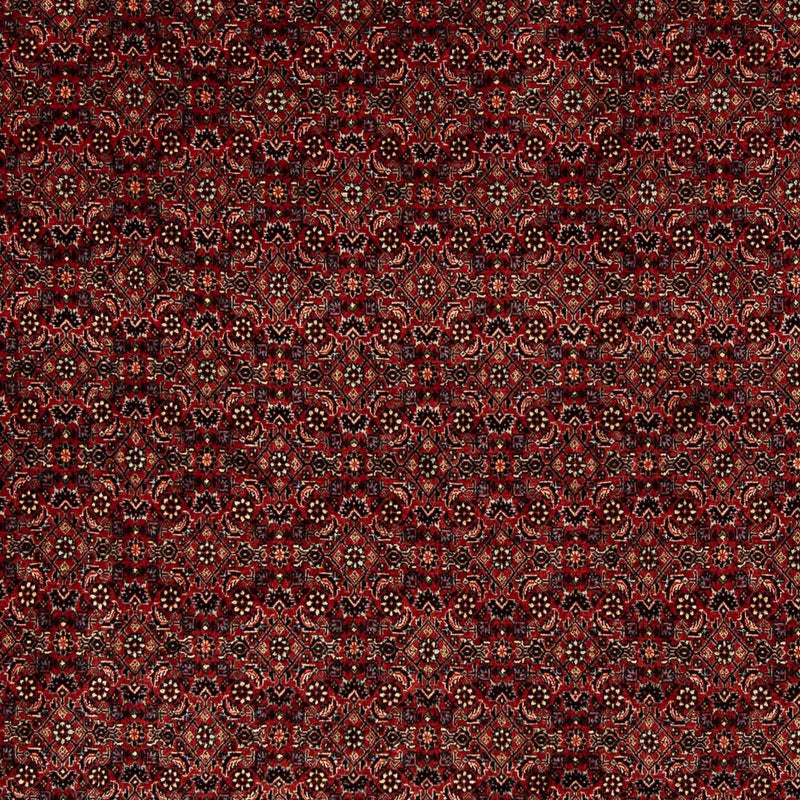 Alfombra persa - Bidjar - 246 x 200 cm - rojo oscuro
