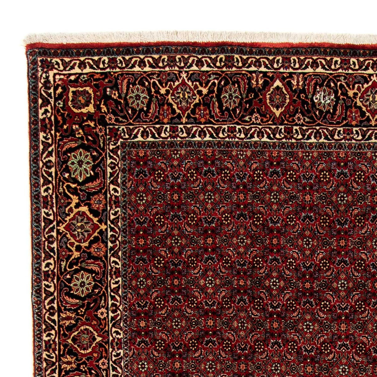 Bidjar Alfombra 200x246cm - Alfombra persa