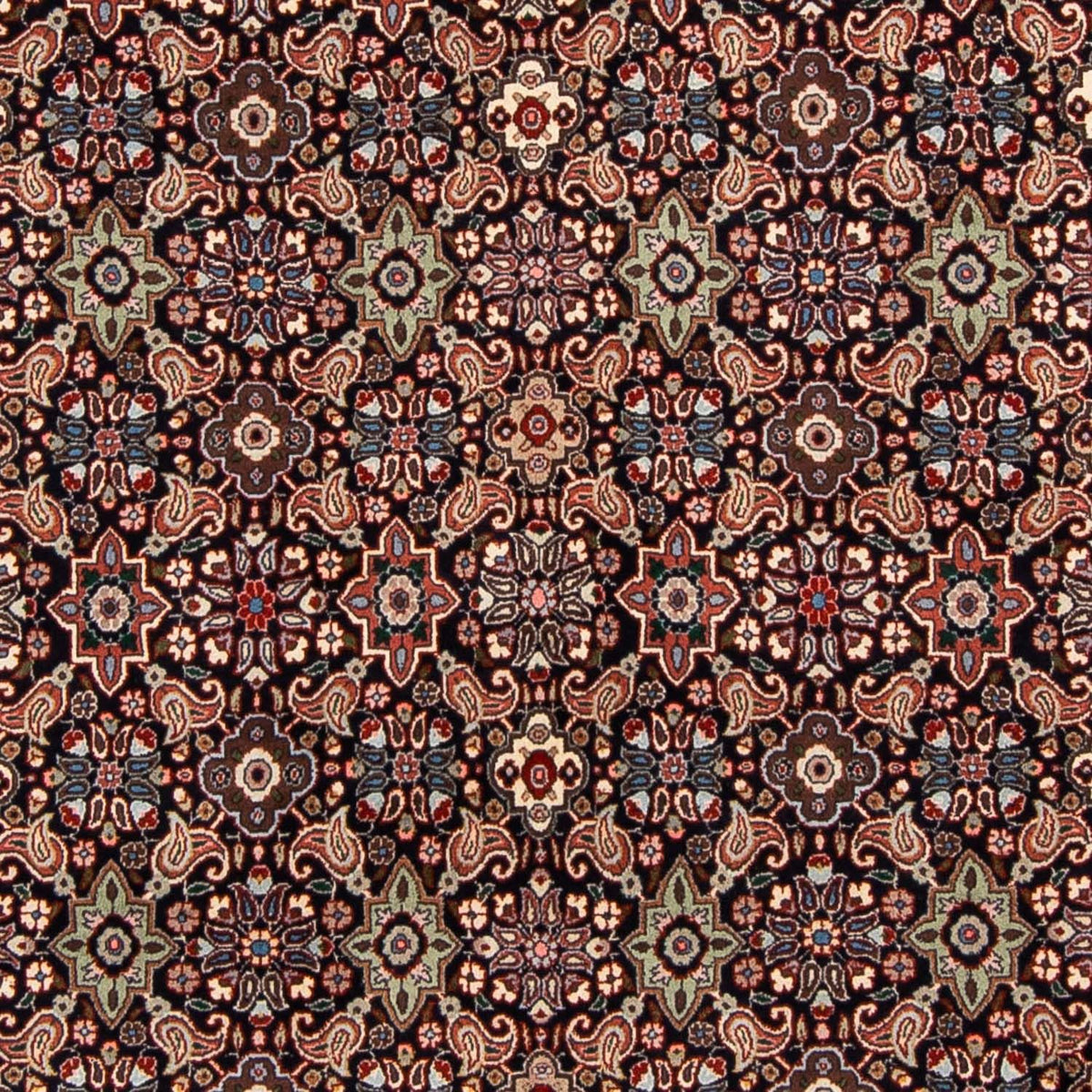 Alfombra persa - Bidjar - 248 x 168 cm - marrón claro