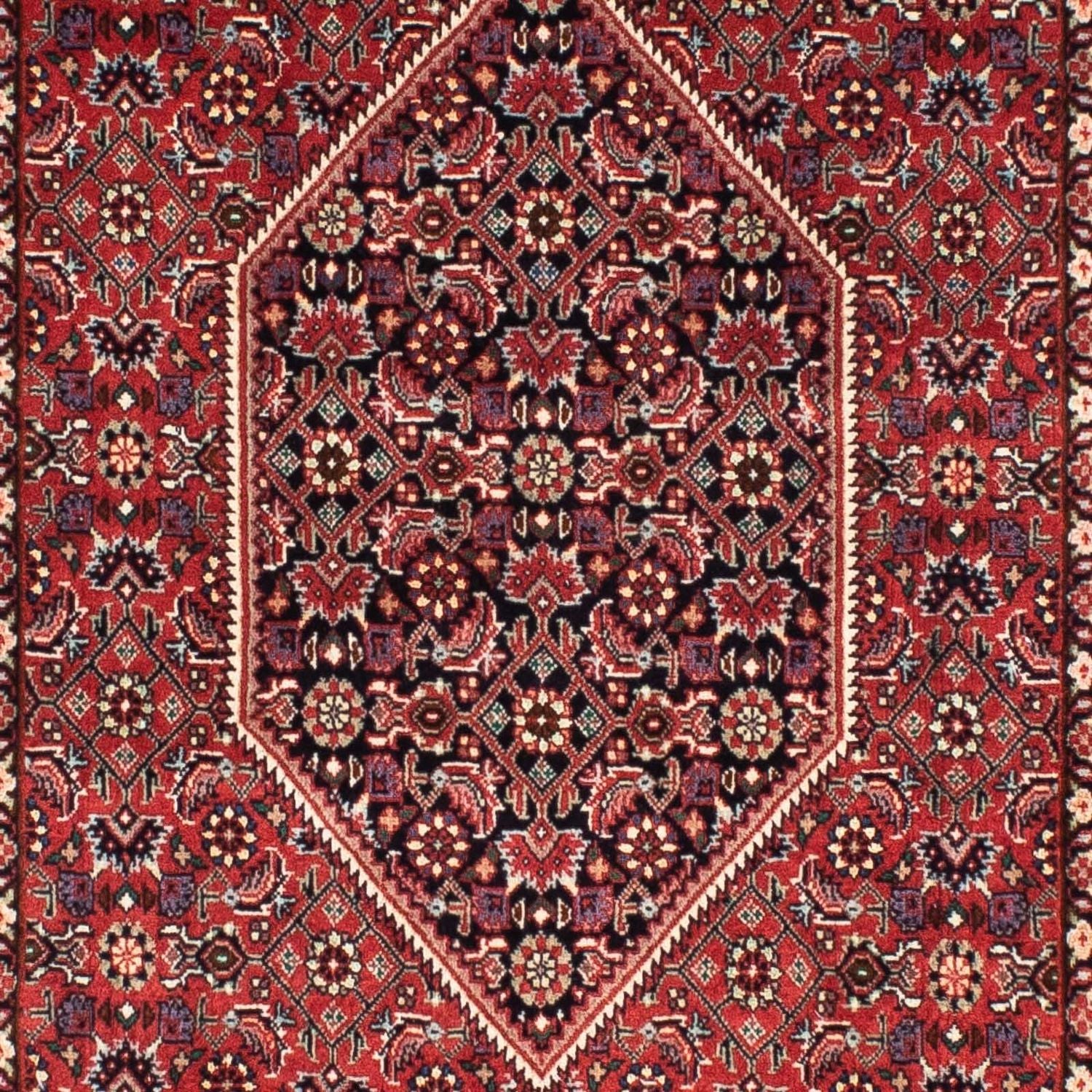 Alfombra de pasillo Alfombra persa - Bidjar - 200 x 74 cm - rojo oscuro