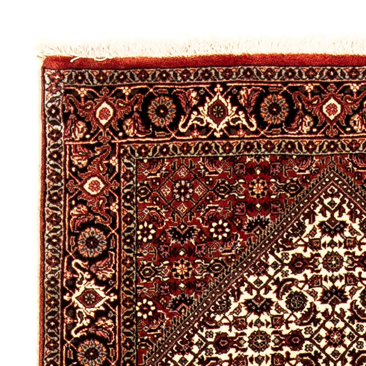 Alfombra de pasillo Alfombra persa - Bidjar - 284 x 80 cm - multicolor