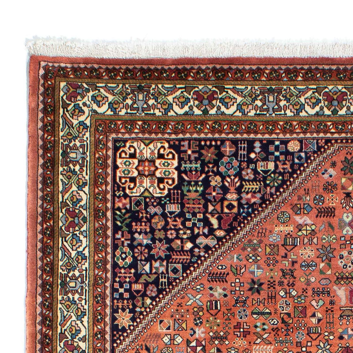 Kashkuli Alfombra 167x240cm - Alfombra persa