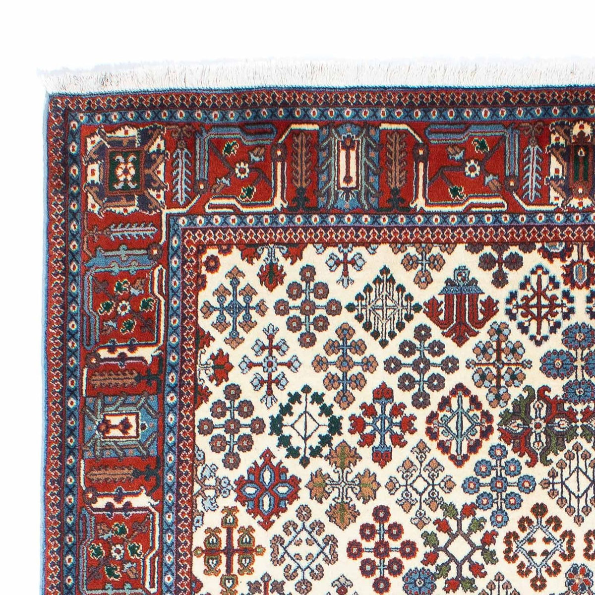 Kashkuli Alfombra 159x241cm - Alfombra persa