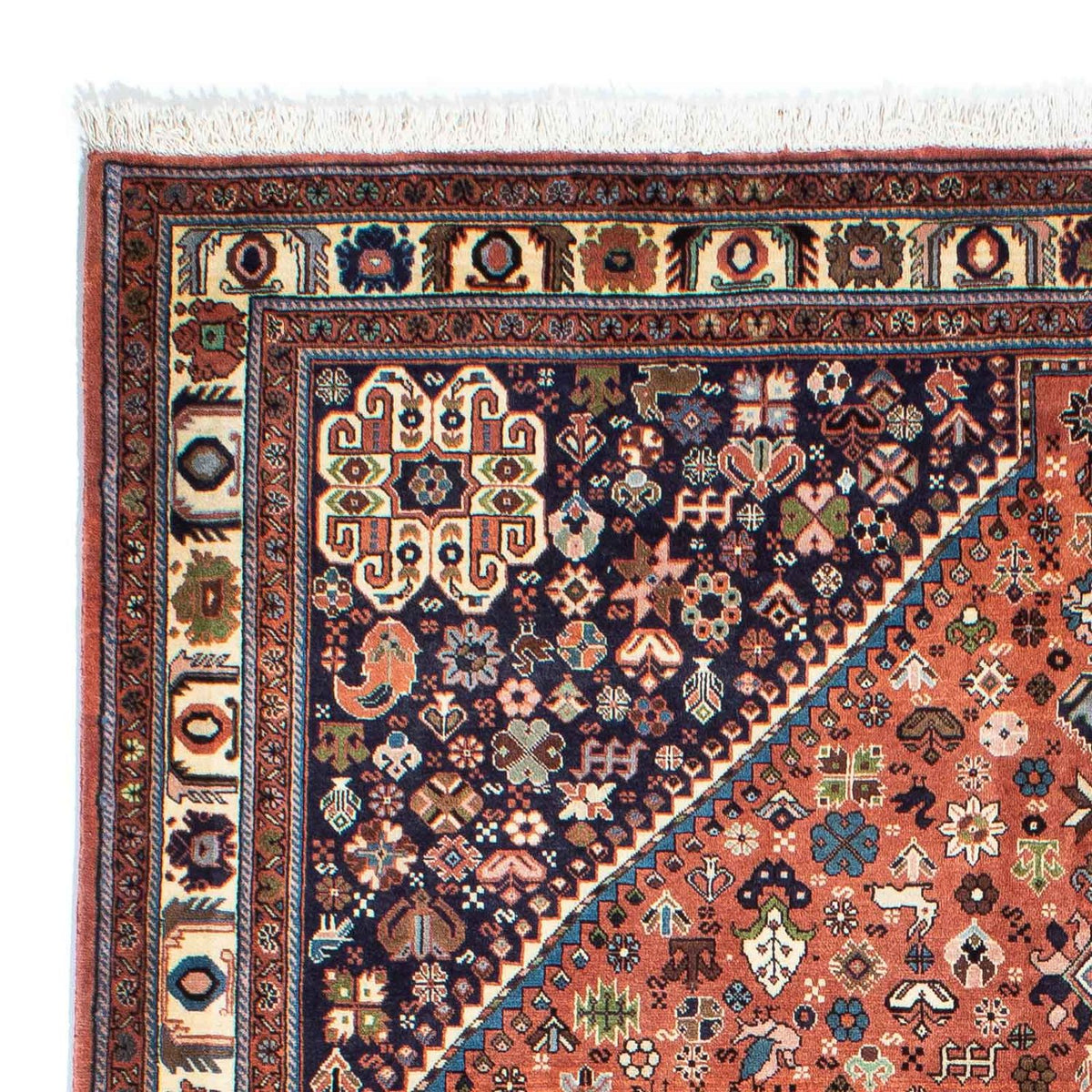 Kashkuli Alfombra 168x240cm - Alfombra persa
