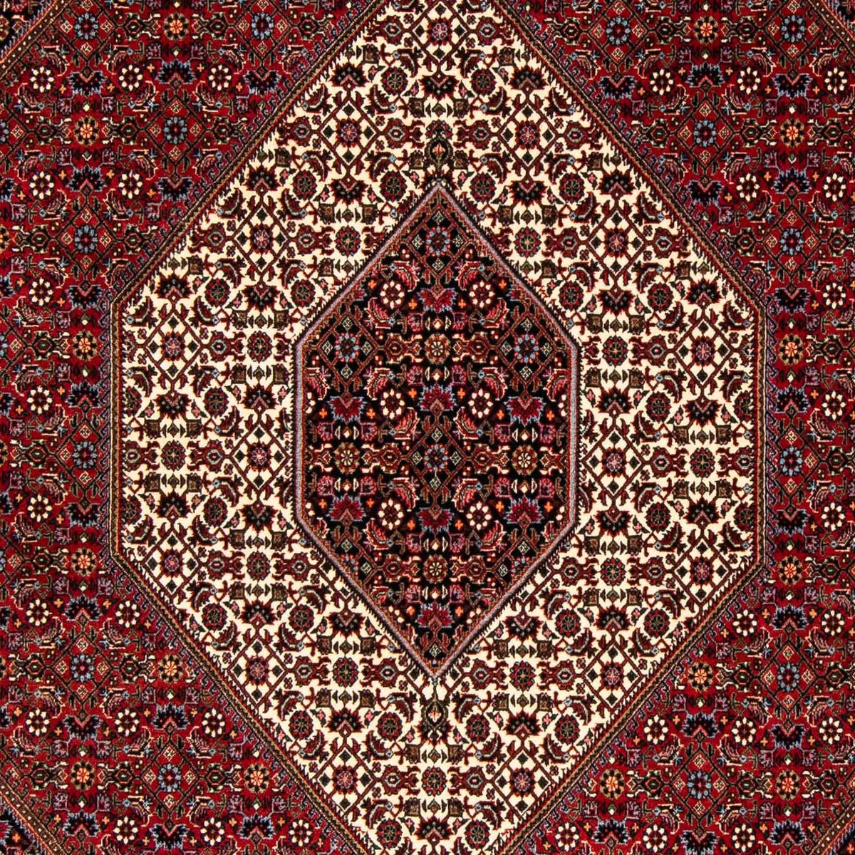 Alfombra persa - Bidjar - 251 x 176 cm - rojo oscuro
