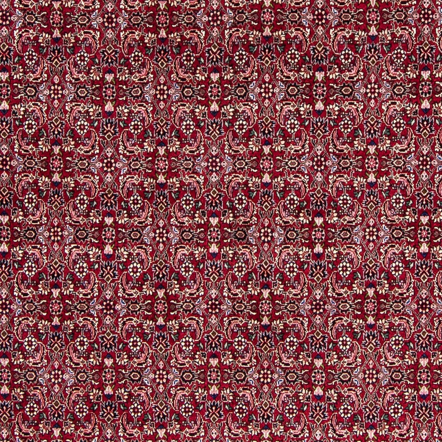 Alfombra persa - Bidjar - 245 x 174 cm - rojo