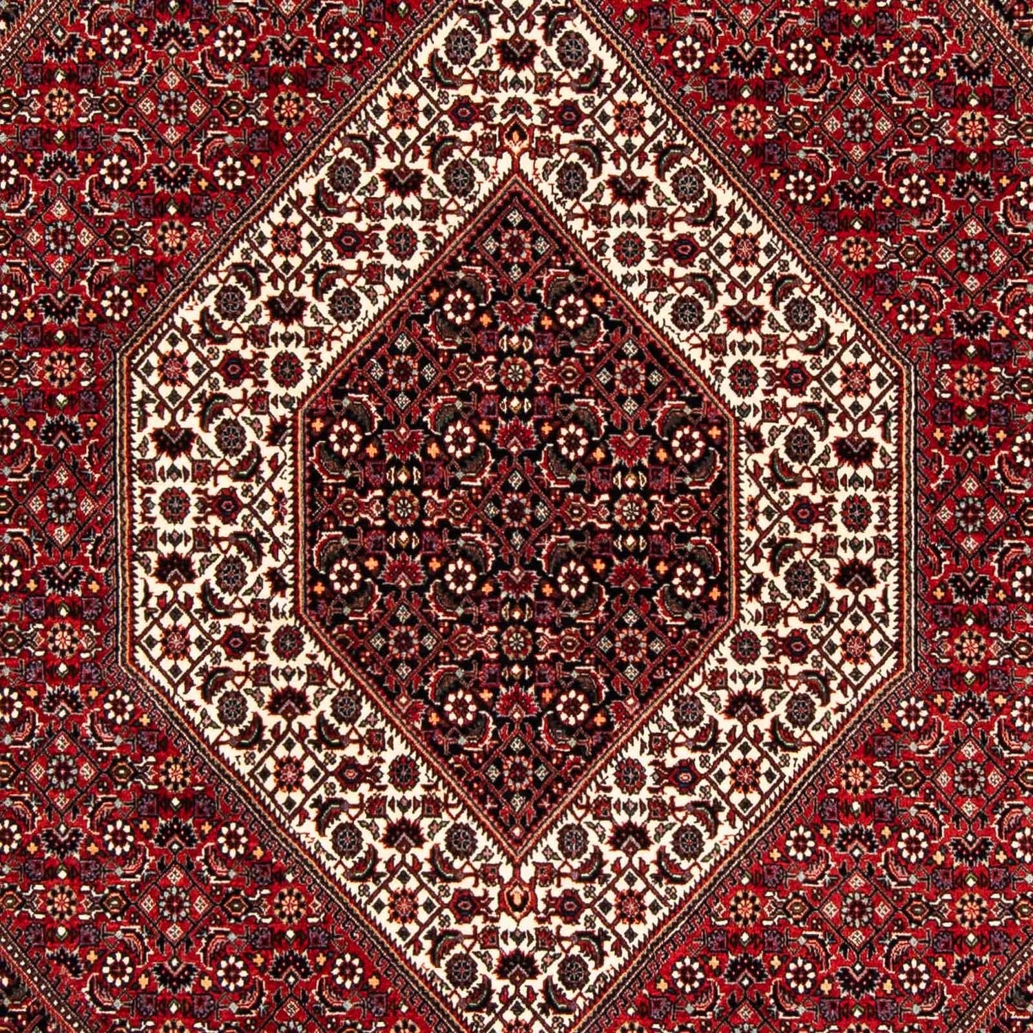 Alfombra persa - Bidjar - 240 x 172 cm - rojo oscuro