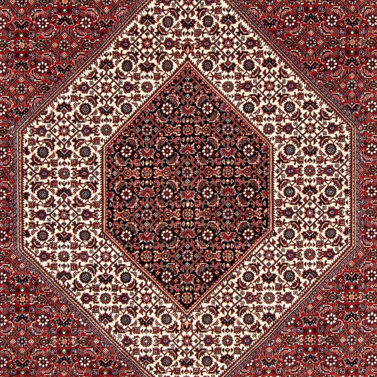 Alfombra persa - Bidjar - 249 x 174 cm - rojo oscuro