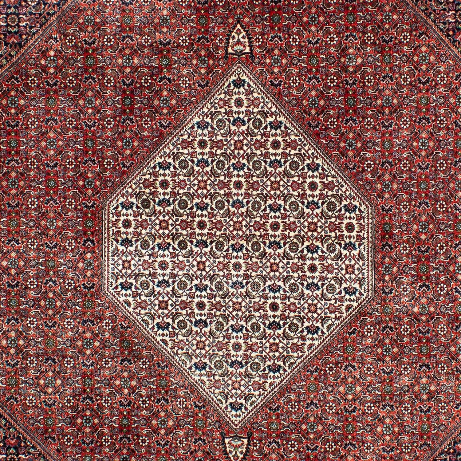 Alfombra persa - Bidjar - 301 x 208 cm - óxido