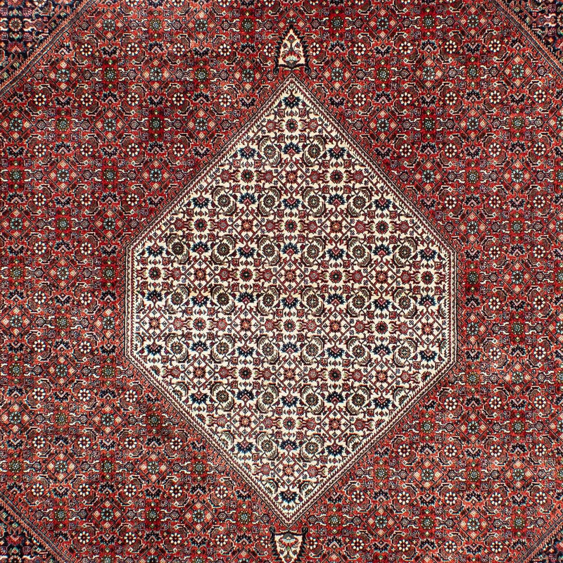 Alfombra persa - Bidjar - 301 x 208 cm - óxido