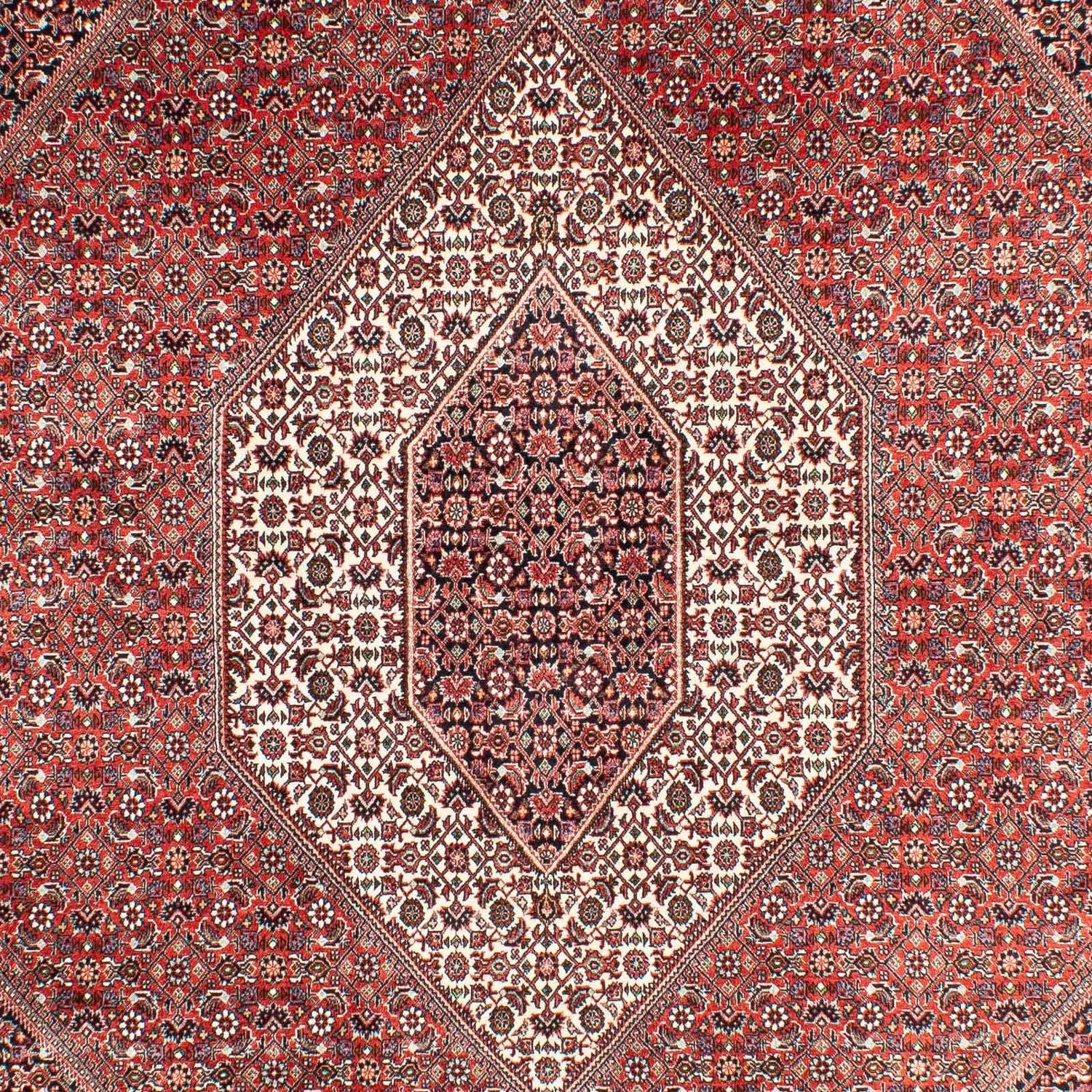 Alfombra persa - Bidjar - 303 x 203 cm - rojo claro