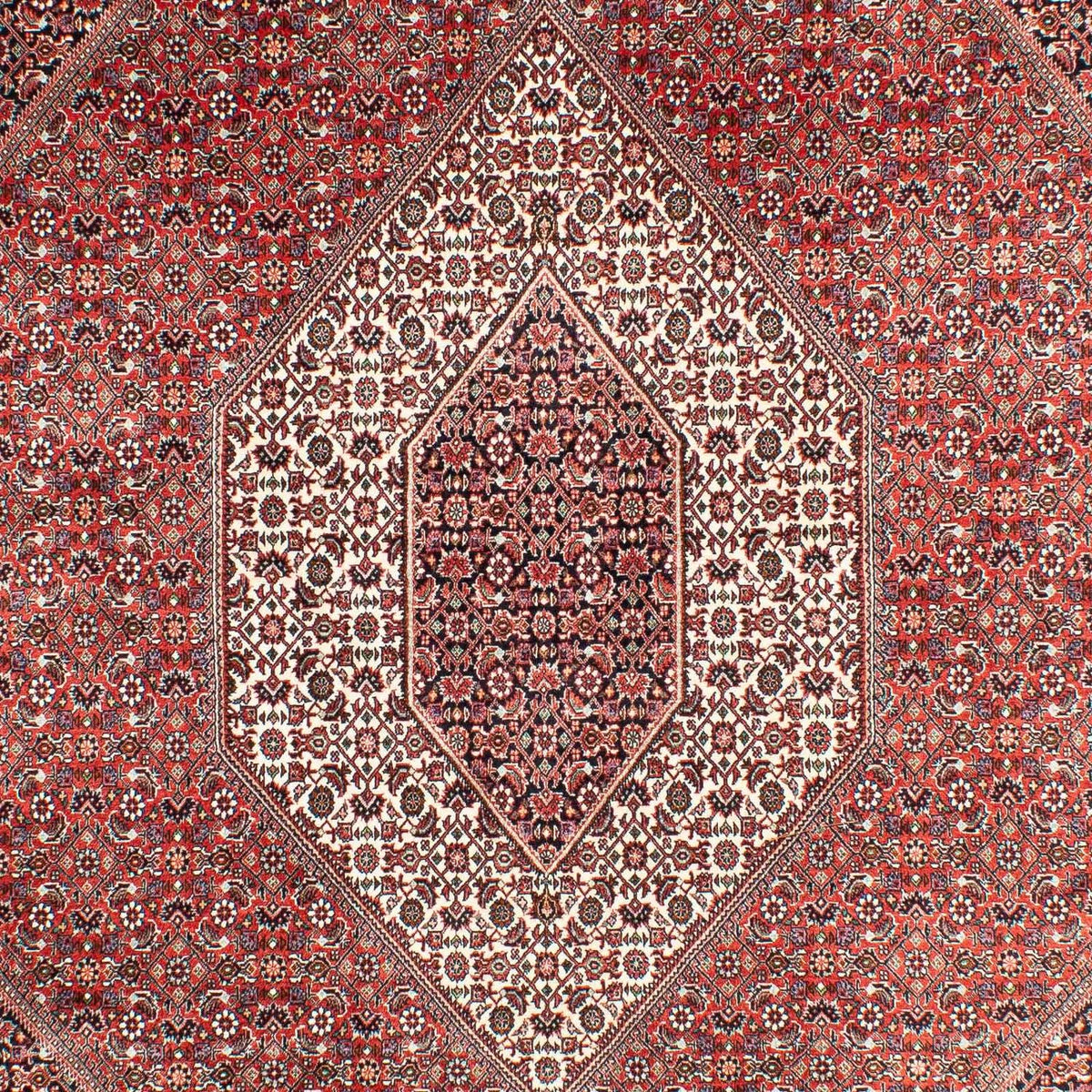 Alfombra persa - Bidjar - 303 x 203 cm - rojo claro