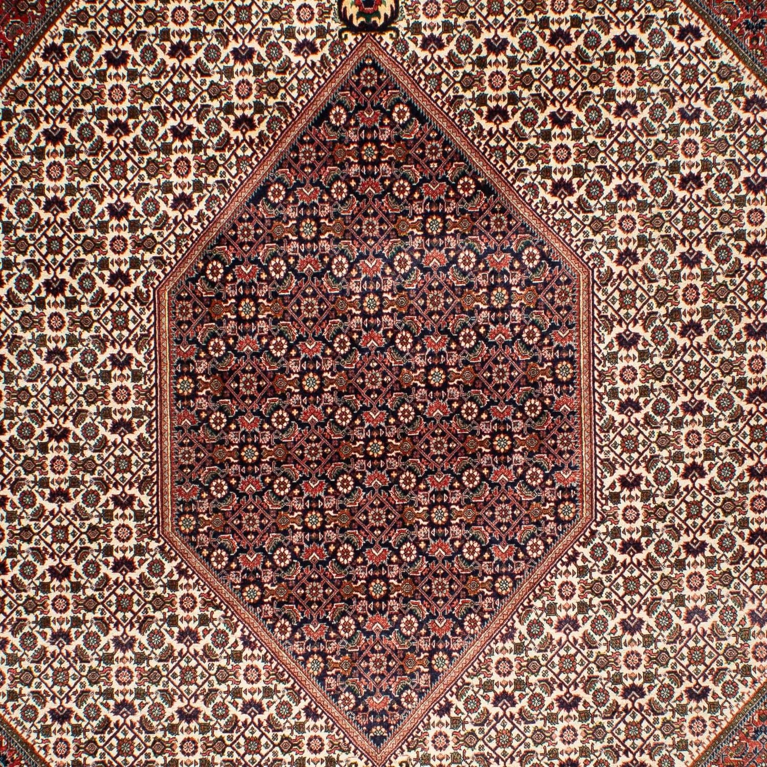 Alfombra persa - Bidjar - 311 x 208 cm - beige