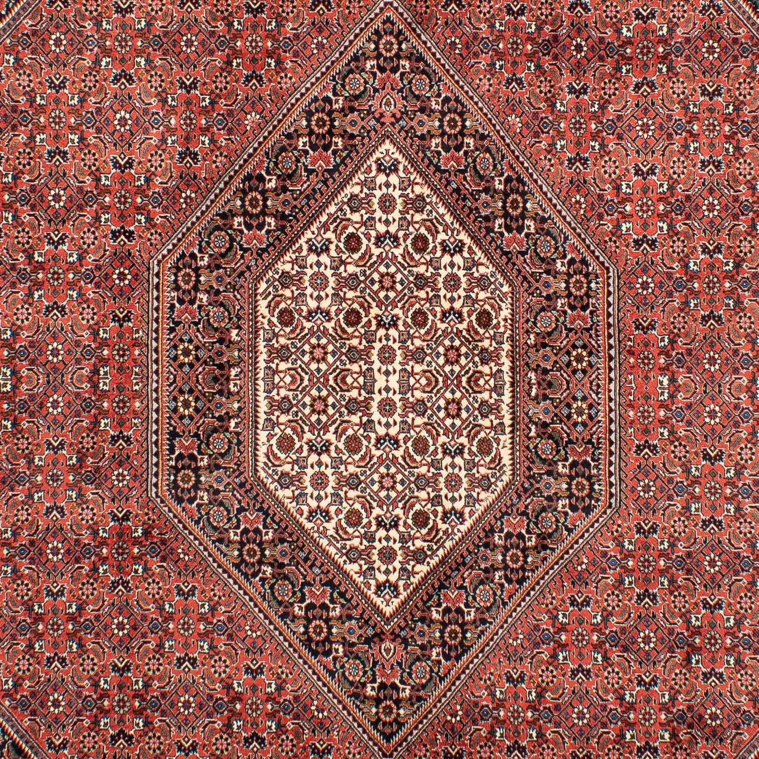 Alfombra persa - Bidjar - 300 x 203 cm - rojo claro