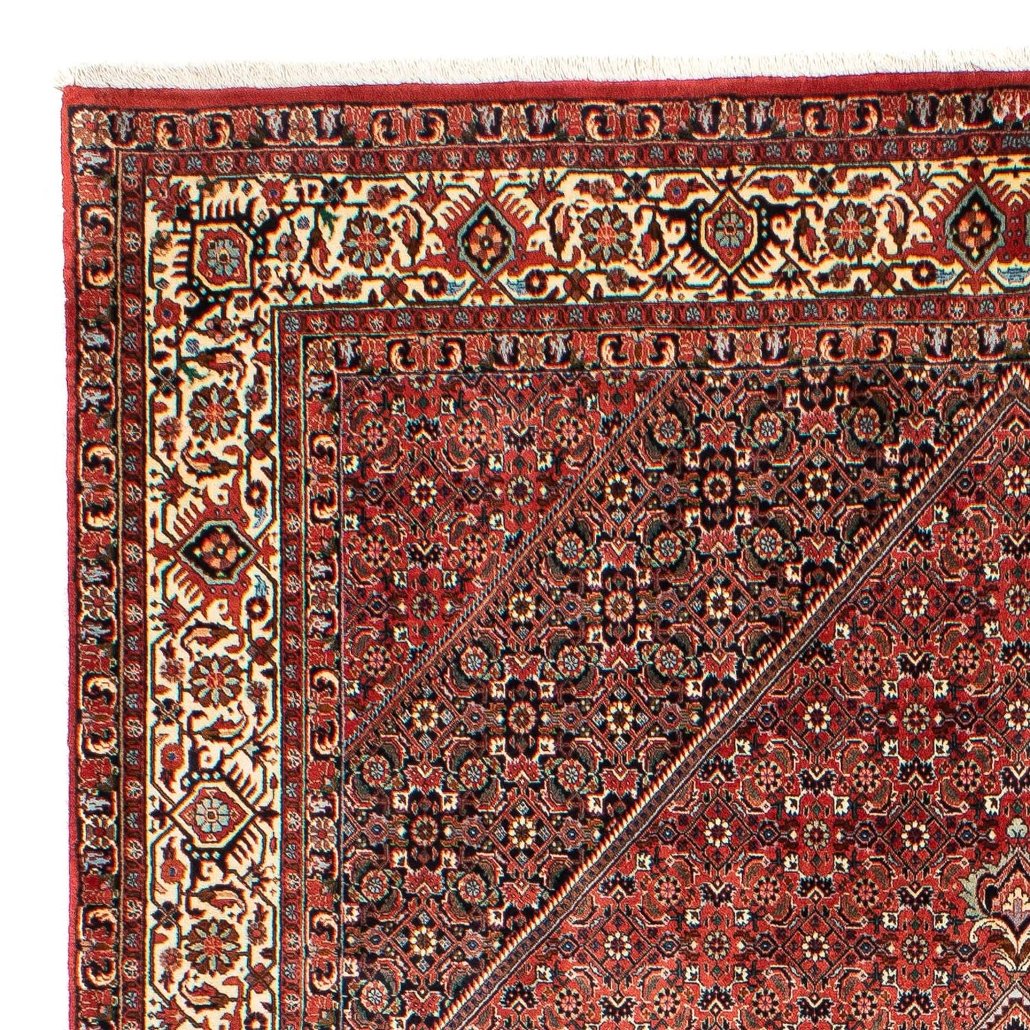 Alfombra persa - Bidjar - 300 x 203 cm - rojo claro