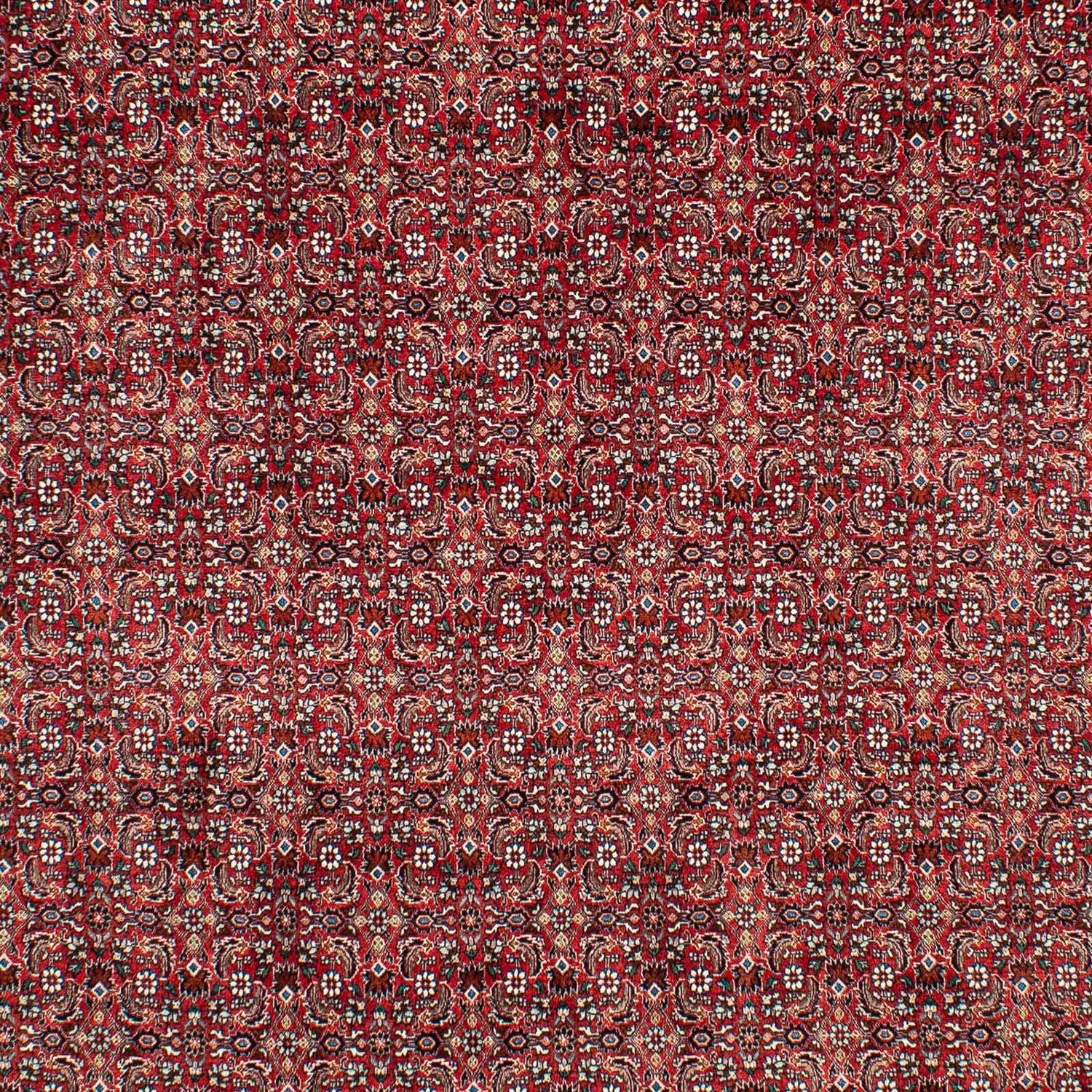 Alfombra persa - Bidjar - 309 x 209 cm - rojo oscuro