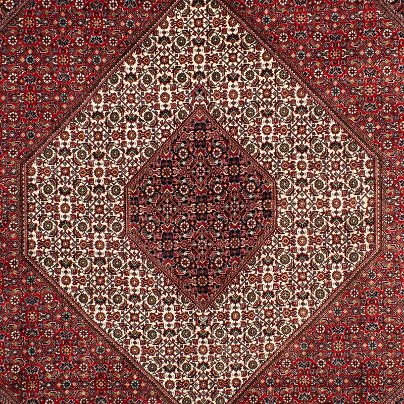 Alfombra persa - Bidjar - 300 x 203 cm - rojo oscuro
