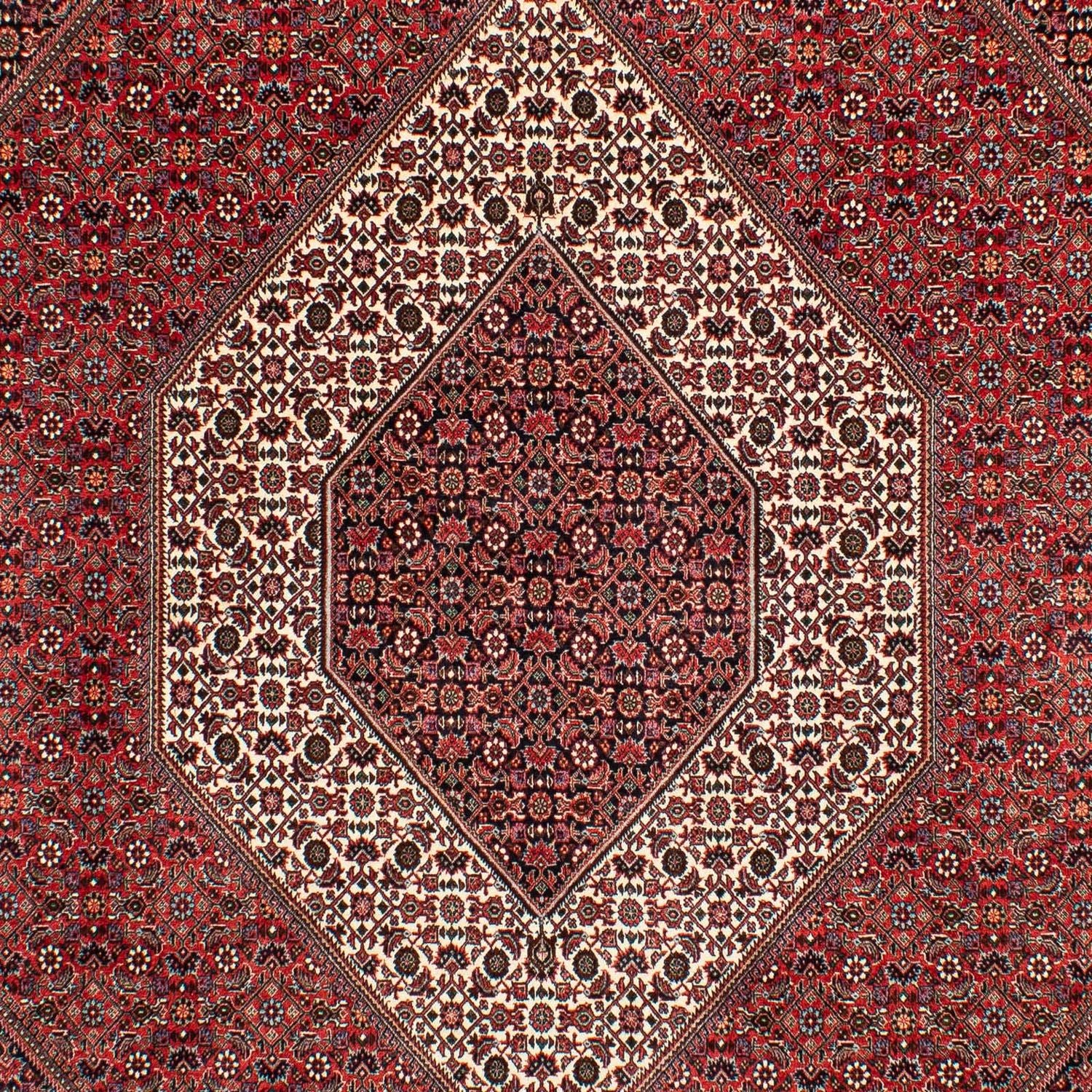 Alfombra persa - Bidjar - 305 x 203 cm - rojo oscuro